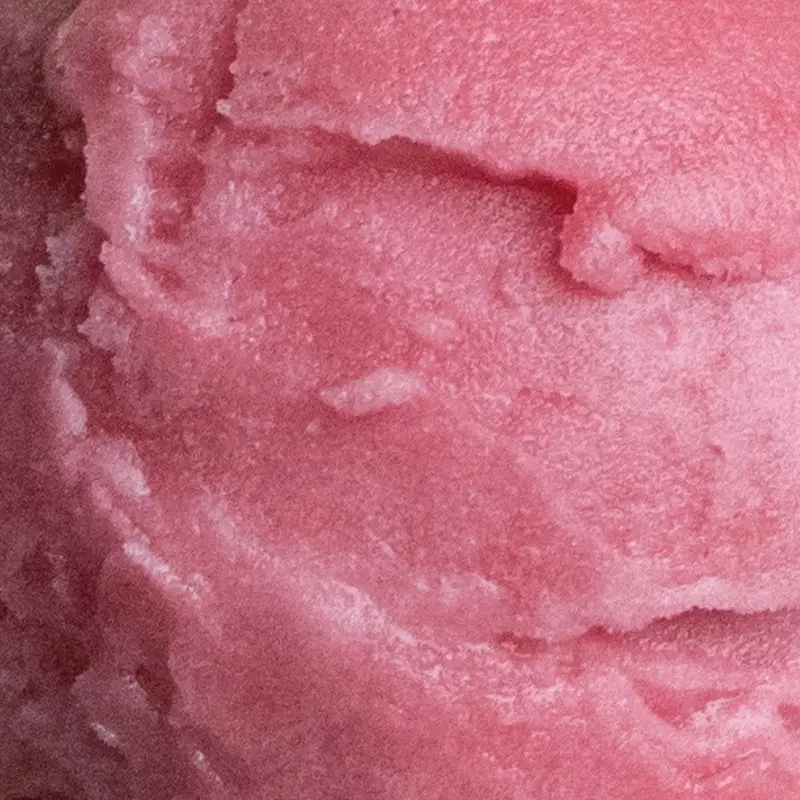 Cranberry-Orange Sorbet – Vegan 1
