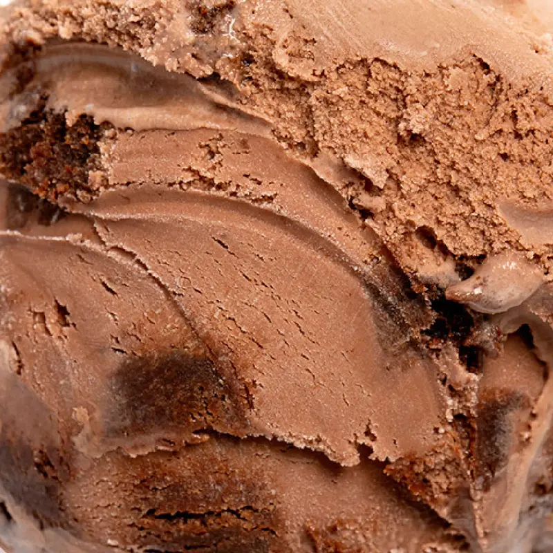 Decadent Sticky Chocolate Brownie 1
