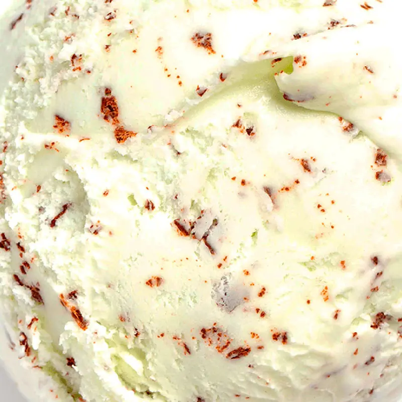 Freckled Mint Chocolate Chip – Vegan 1