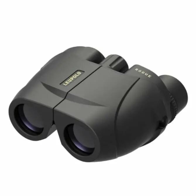 Leupold Bx-1 Rouge 10X25 Compact Binoculars 1