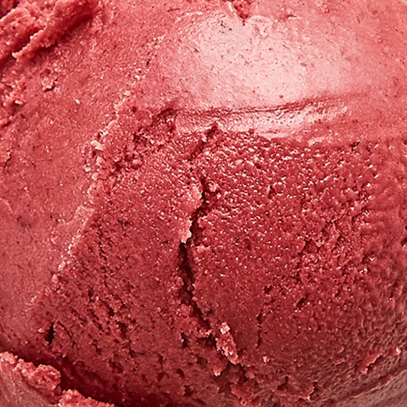 Marionberry-Coconut Sherbet – Vegan 1