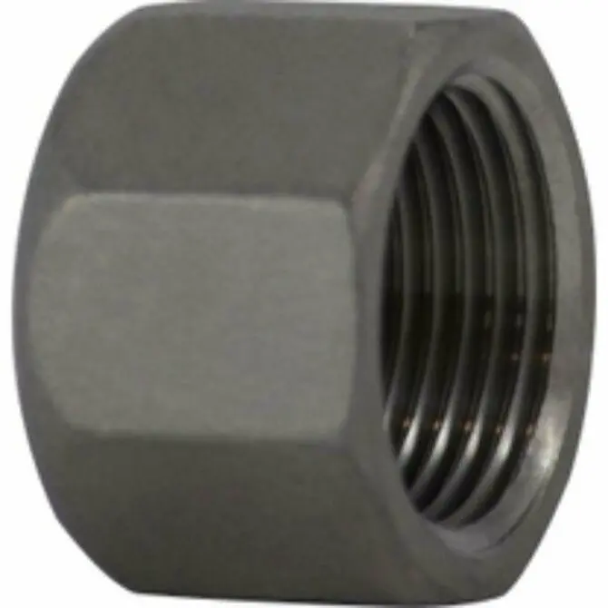 Midland Stainless Steel Hex Cap For Pipe Ends 1